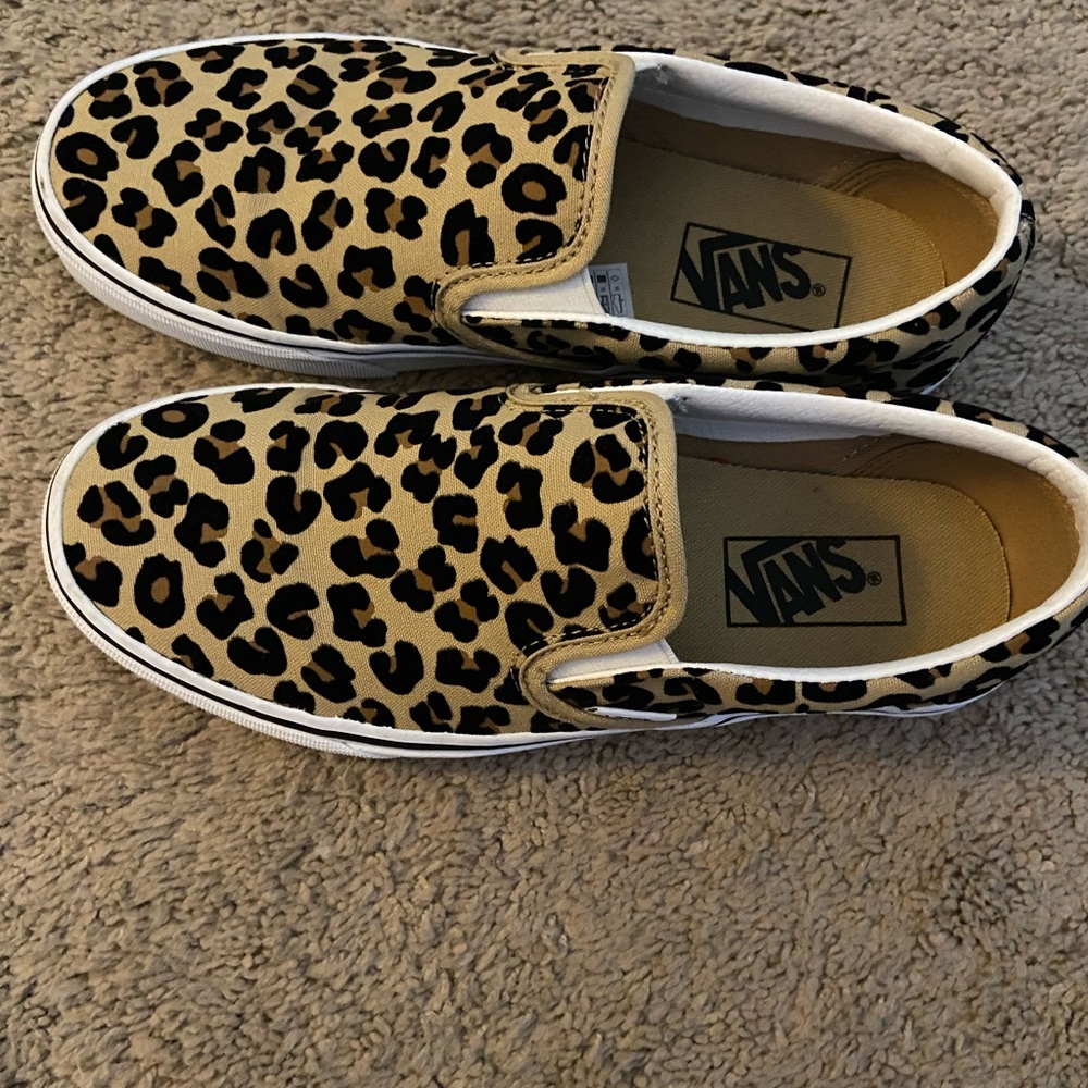 COPY - Cheetah Vans